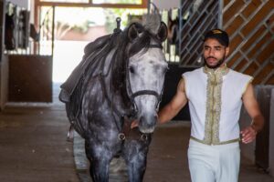 Formation de Cavalier Equestre