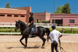 Formation de Cavalier Artiste