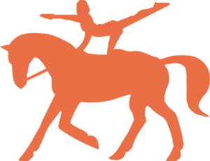 Formation de Groom Equin